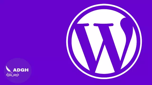 Comment gagner 1000€/Mois en tant que Developpeur WordPress ?