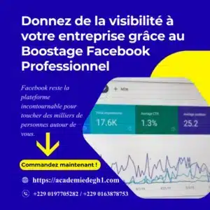 Boostage Facebook Professionnel